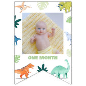 Kleurrijke Dinosaurus Eerste Verjaardag Milestone Vlaggetjes (Derde vlag)