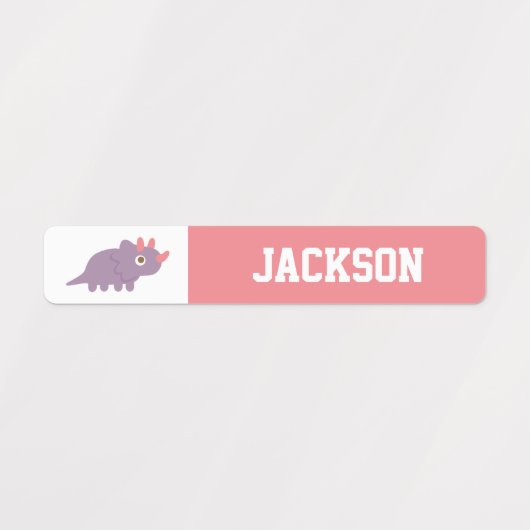 Kleurrijke dinosaurussen Kinder persoonlijke label (Design 1)