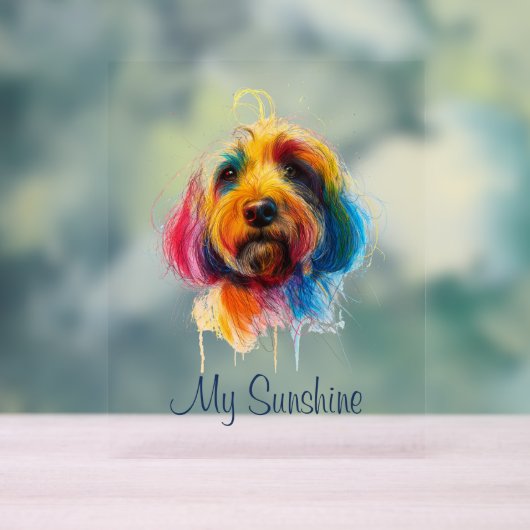 Kleurrijke Doodle Acryl Bord (Neutraal)