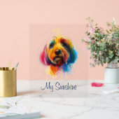 Kleurrijke Doodle Acryl Bord (Huwelijk)