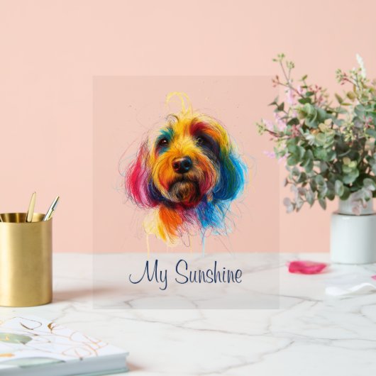 Kleurrijke Doodle Acryl Bord (Huwelijk)