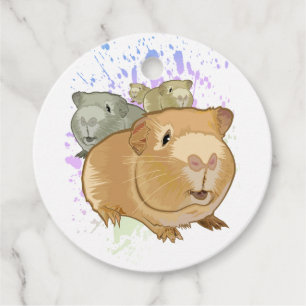 Kleurrijke Drie-eenheid van Cavia's Regenboog Verf Bedankjes Labels