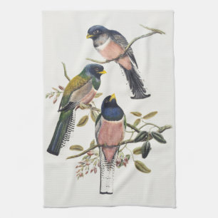 Kleurrijke Drie Trogons Geplaatst op Tak Vintage V Theedoek