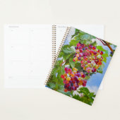 Kleurrijke Druiven Stilleven Verf Kalender 2026 Planner (Display)