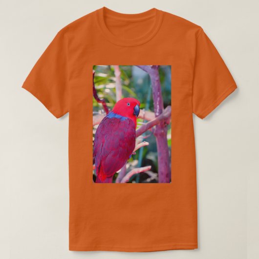 Kleurrijke eclectorpapegaai t-shirt (Design voorkant)