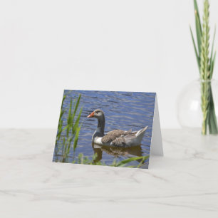 Kleurrijke Eend Notecard Kaart