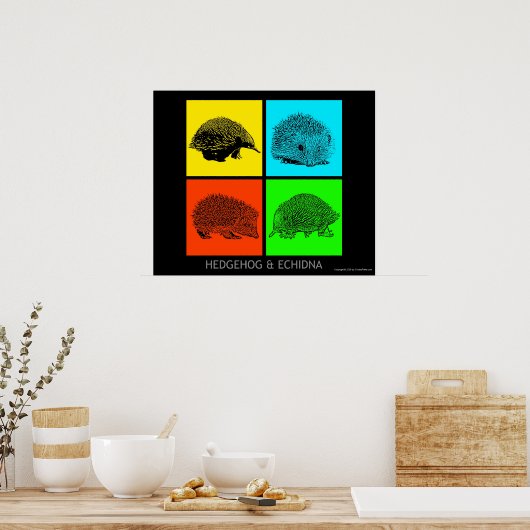 Kleurrijke egel en Echidna Poster (Keuken)