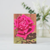 Kleurrijke Elegante Roze Bloemen Roze Bloem Briefkaart (Staand voorkant)