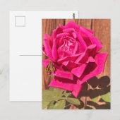 Kleurrijke Elegante Roze Bloemen Roze Bloem Briefkaart (Voorkant / Achterkant)