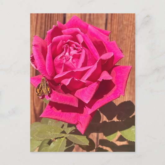 Kleurrijke Elegante Roze Bloemen Roze Bloem Briefkaart (Voorkant)