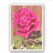 Kleurrijke Elegante Roze Bloemen Roze Bloem Sticker (Voorkant)