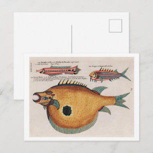 Kleurrijke en surreële illustraties van vissen briefkaart
