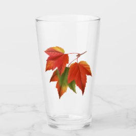 Kleurrijke esdoornbladeren glas