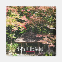 Kleurrijke esdoorns en theehuis