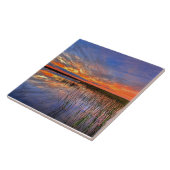 Kleurrijke Everglades, Florida, Tegeltje (Zijkant)