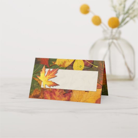 Kleurrijke Fall Leaves Wedding Place Card Plaatskaartje (Voorkant)
