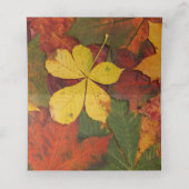 Kleurrijke Fall Leaves Wedding Place Card Plaatskaartje (Binnenkant ongevouwen)