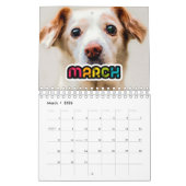 Kleurrijke familie fotokalender 2026 kalender (Mar 2026)