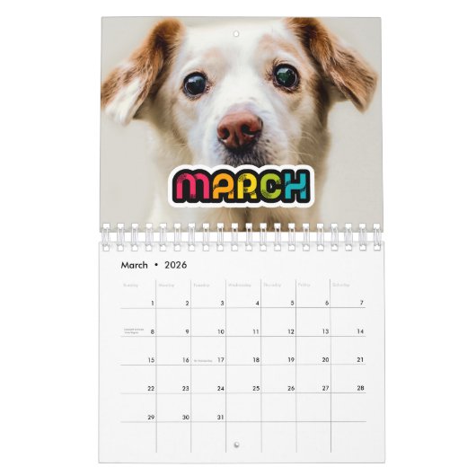 Kleurrijke familie fotokalender 2026 kalender (Mar 2026)