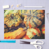 Kleurrijke Fancy bronnen sluiten de ontkoppeling o Tissuepapier (Craft)