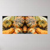 Kleurrijke Fancy kalebassen Close Up Mirror Abstra Poster (Voorkant)