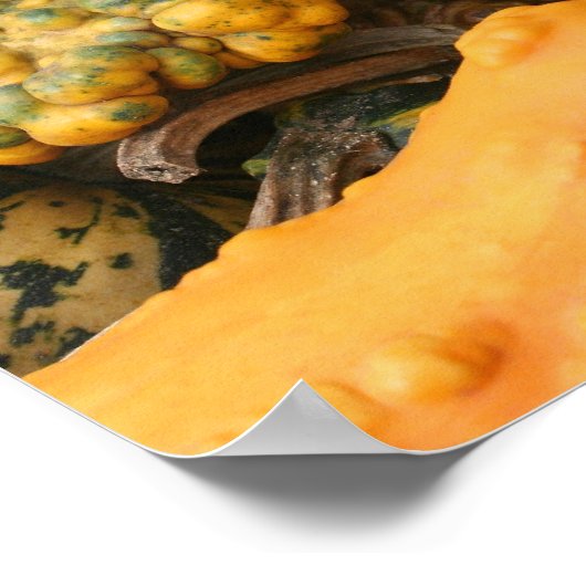 Kleurrijke Fancy kalebassen Close Up Mirror Abstra Poster (Hoek)