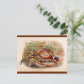 Kleurrijke fazant briefkaart (Staand voorkant)