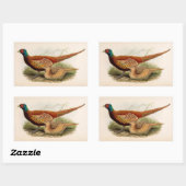 Kleurrijke fazant rechthoekige sticker (Vel)