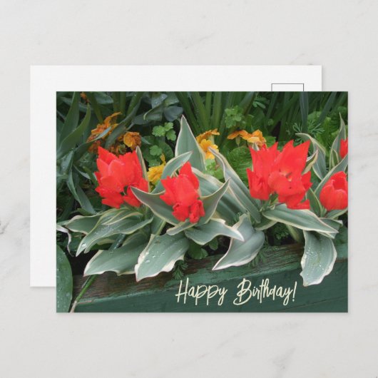 Kleurrijke felrode tulpen gelukkige verjaardag blo briefkaart (Voorkant / Achterkant)