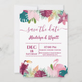 Kleurrijke Flamenco Jungle Stijlvol Kaart (Voorkant)