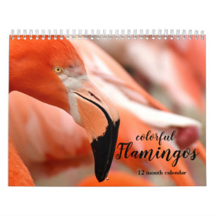 Kleurrijke Flamingo's 2026 Kalender