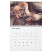 Kleurrijke Flamingo's 2026 Kalender (Mar 2027)