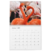 Kleurrijke Flamingo's 2026 Kalender (Jan 2027)