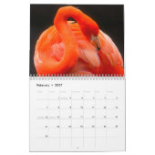 Kleurrijke Flamingo's 2026 Kalender (Feb 2027)