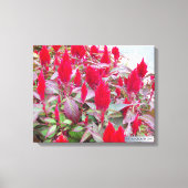 KLEURRIJKE FLORA #2 CANVAS AFDRUK (Voorkant)