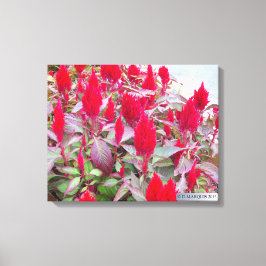 KLEURRIJKE FLORA #2 CANVAS AFDRUK