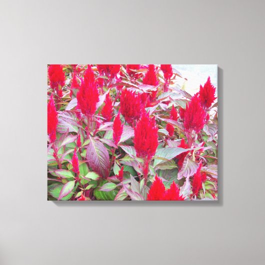 KLEURRIJKE FLORA #2 CANVAS AFDRUK (Voorkant)