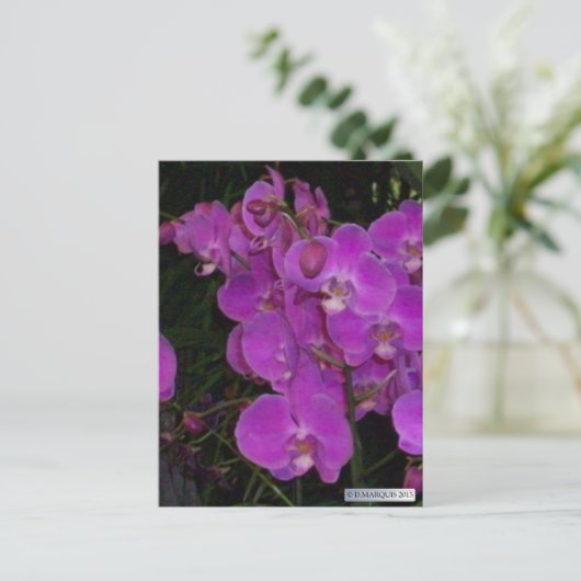 KLEURRIJKE FLORA #3 Briefkaarten (Staand voorkant)