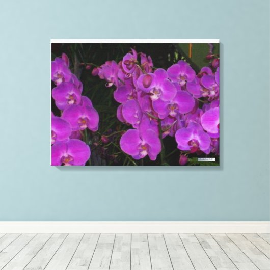 KLEURRIJKE FLORA #3 CANVAS AFDRUK (Insitu (Houten vloer))