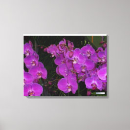 KLEURRIJKE FLORA #3 CANVAS AFDRUK