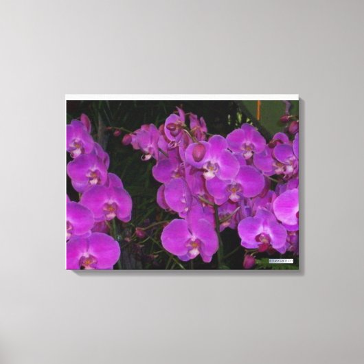 KLEURRIJKE FLORA #3 CANVAS AFDRUK (Voorkant)