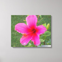 KLEURRIJKE FLORA #5 CANVAS AFDRUK