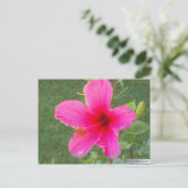 KLEURRIJKE FLORA #6 BRIEFKAART (Staand voorkant)