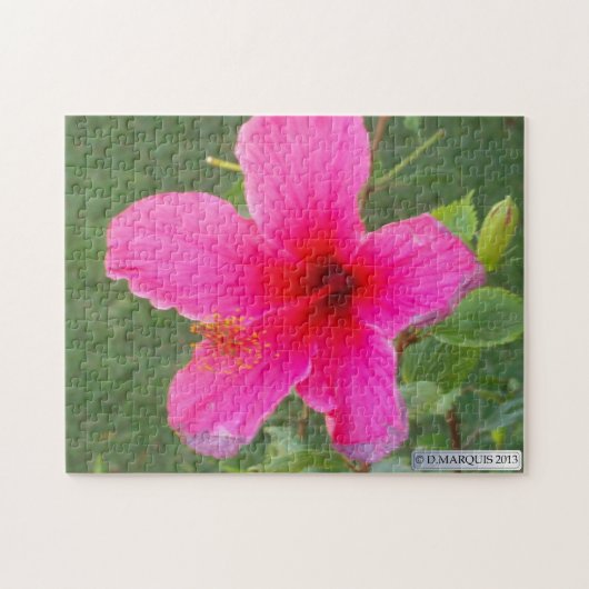 KLEURRIJKE FLORA#6 PUZZEL (Horizontaal)