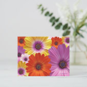 Kleurrijke Floral Medley van African Daisies Briefkaart (Staand voorkant)