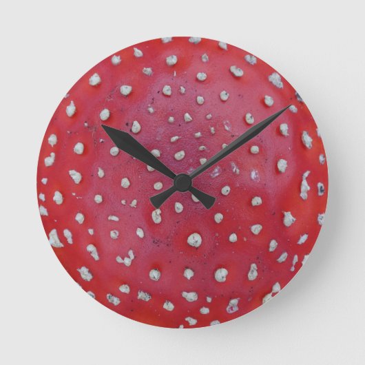 Kleurrijke Fly Amantis patroon wandklok (Voorkant)