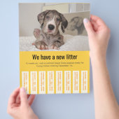 Kleurrijke flyer om Deense puppy's te verkopen (Hand)
