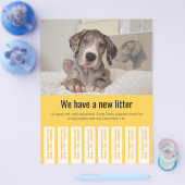 Kleurrijke flyer om Deense puppy's te verkopen (Enkel)