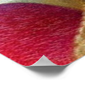 Kleurrijke Franse barokvogel Embroidery Phoenix Poster (Hoek)