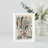 , kleurrijke Franse veren illustratie Briefkaart (Staand voorkant)